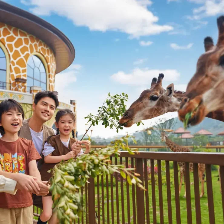 Unlock the Magic: Your Ultimate Guide to Wildlife Encounters & Animal-Themed Experiences at Chimelong Giraffe Castle — Where Fantasy Meets Real-Life Safari