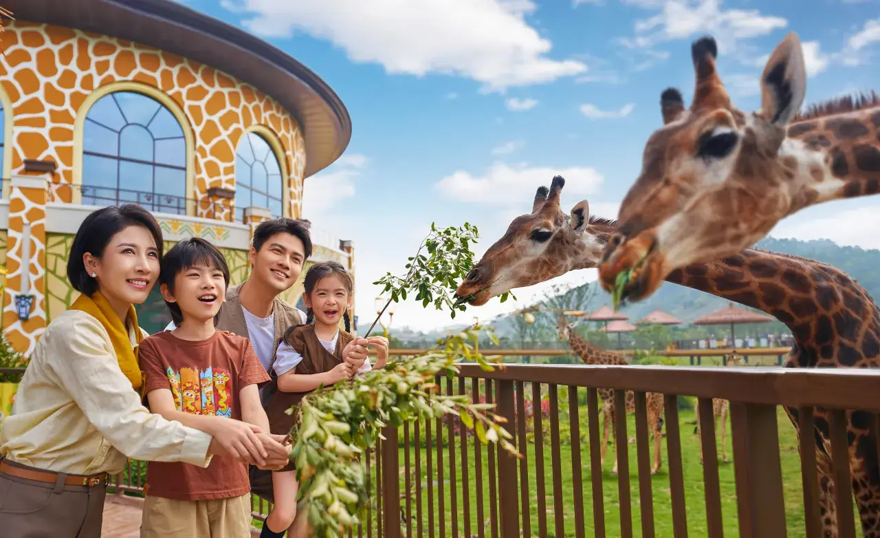 Entdecken Sie die Magie: Ihr ultimativer Leitfaden für Begegnungen mit Wildtieren und tierische Erlebnisse im Chimelong Giraffe Castle – Wo Fantasie auf echte Safari trifft