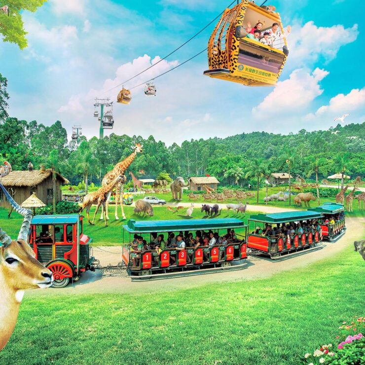 🦒 From Castle Balcony to Savanna Trail: Your Ultimate Insider’s Guide to Chimelong Safari Park for Guests of Chimelong Giraffe Castle