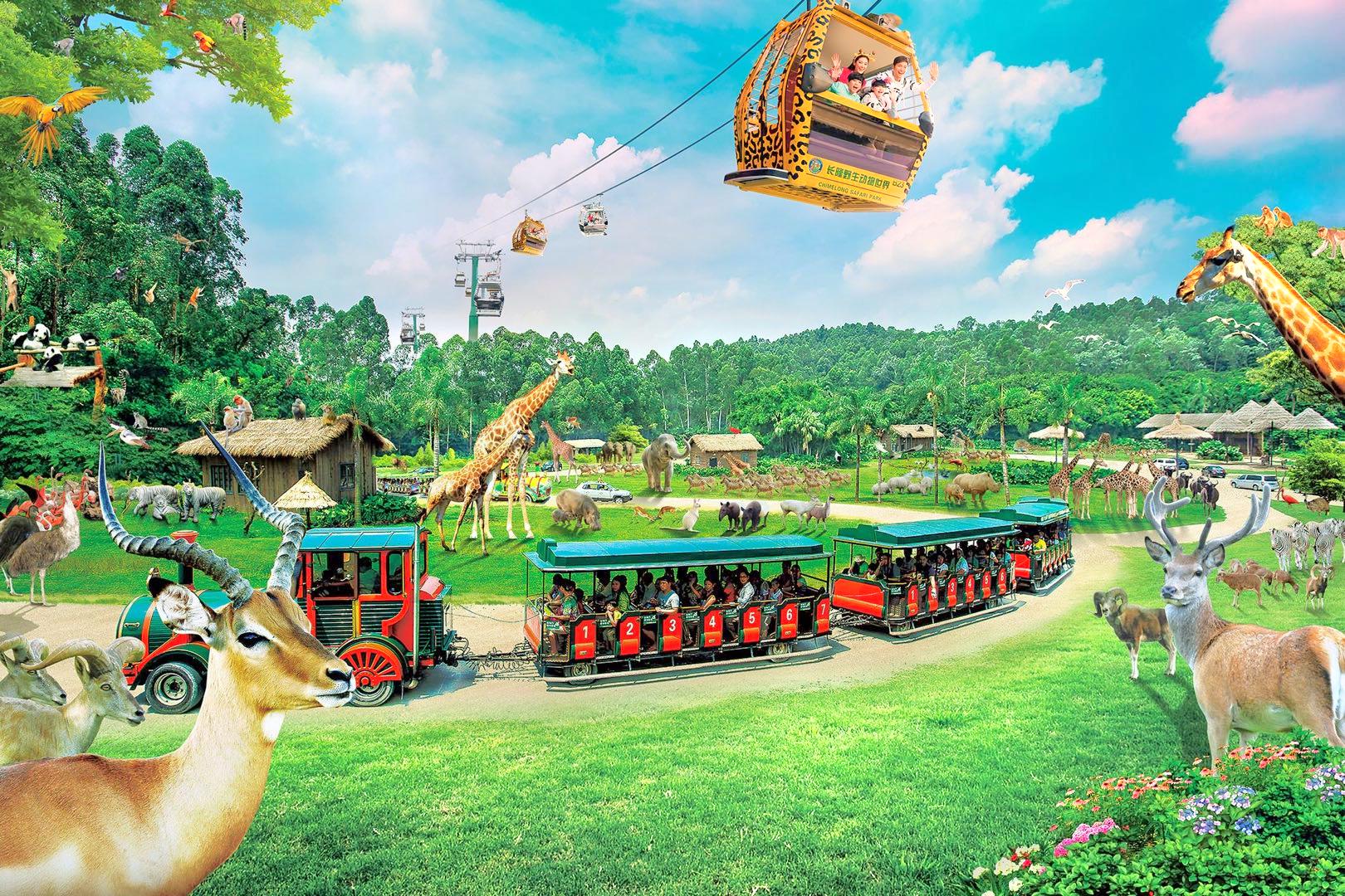 🦒 From Castle Balcony to Savanna Trail: Your Ultimate Insider’s Guide to Chimelong Safari Park for Guests of Chimelong Giraffe Castle